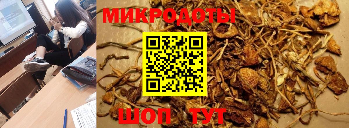 Псилоцибиновые грибы мухоморы Нижнеудинск