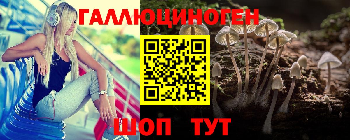 Галлюциногенные грибы MAGIC MUSHROOMS  Вход с VPN  Псилоцибиновые грибы Cubensis  Нижнеудинск 